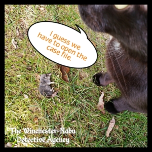 Gus with the body of a shrew