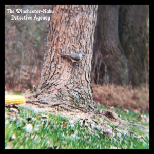 tufted titmouse on tree trunk