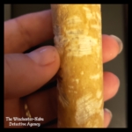 bone close up