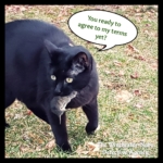 Gus and Vole Fielding