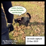 Gus with mole