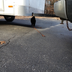 Gus inspecting the NY trailer