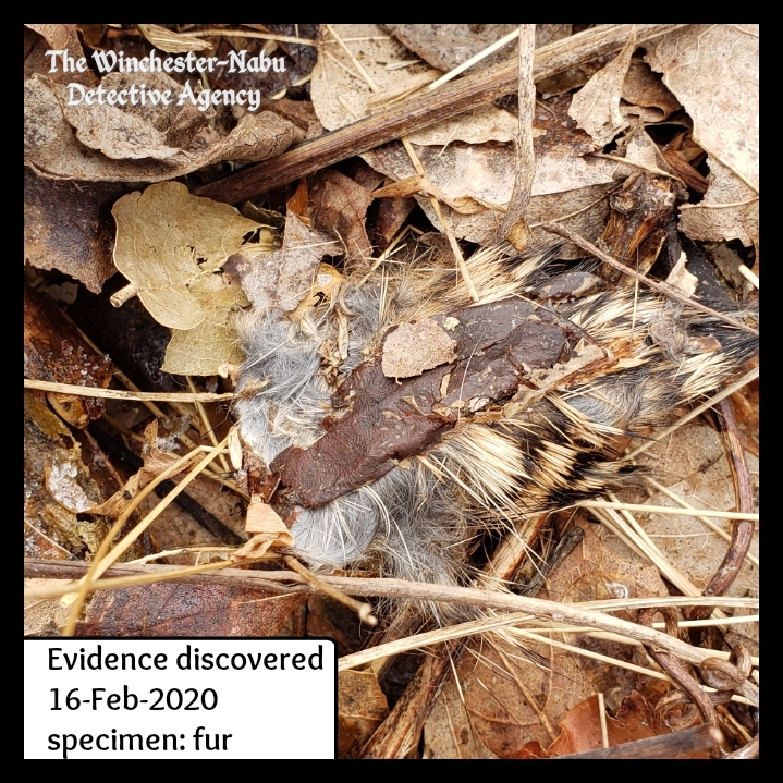 20200216 evidence 2