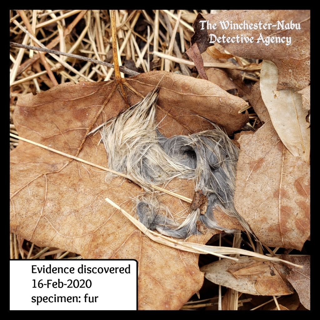 20200216 evidence 6