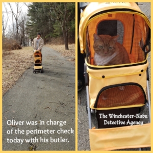 Oliver and Joe