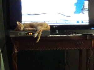 baby Oliver sleeping on cable box