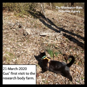 Gus at the body farm