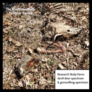 body farm