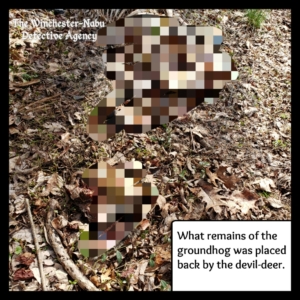 body farm devil deer skeleton & groundhog pixelated
