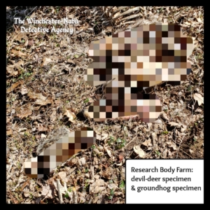 body farm