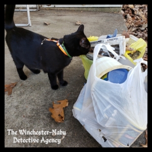 Gus looking into bags of trash