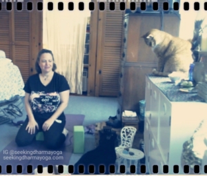 screenshot of cats & Amber during yoga filming