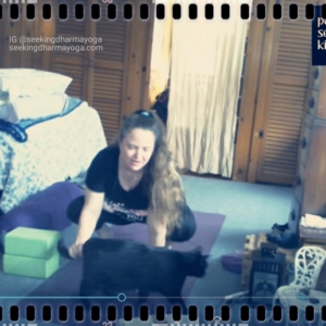 screenshot of cats & Amber during yoga filming
