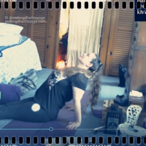 screenshot of cats & Amber during yoga filming