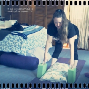 screenshot of cats & Amber during yoga filming