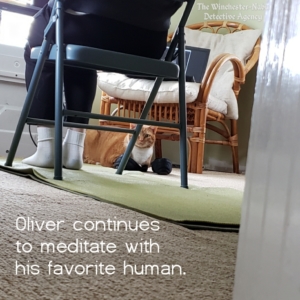 Oliver by Grandmere's feet meditating