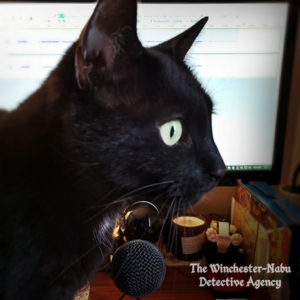 Gus in front of the computer and microphone