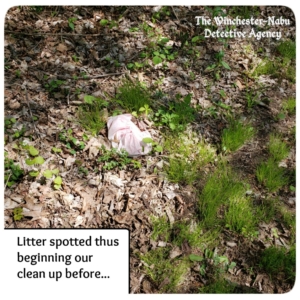 litter in woods