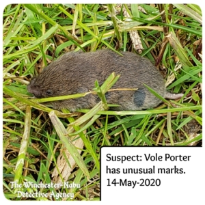 vole porter