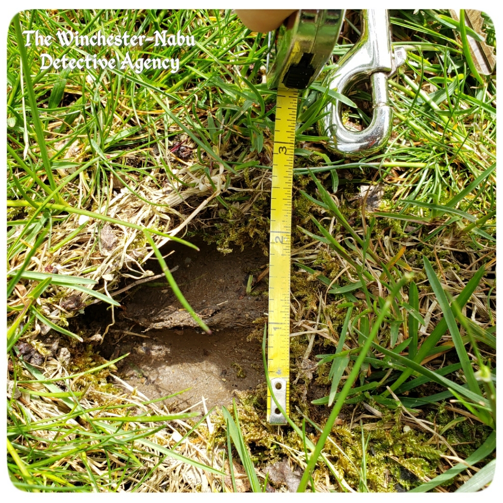 20200514 hoof track2