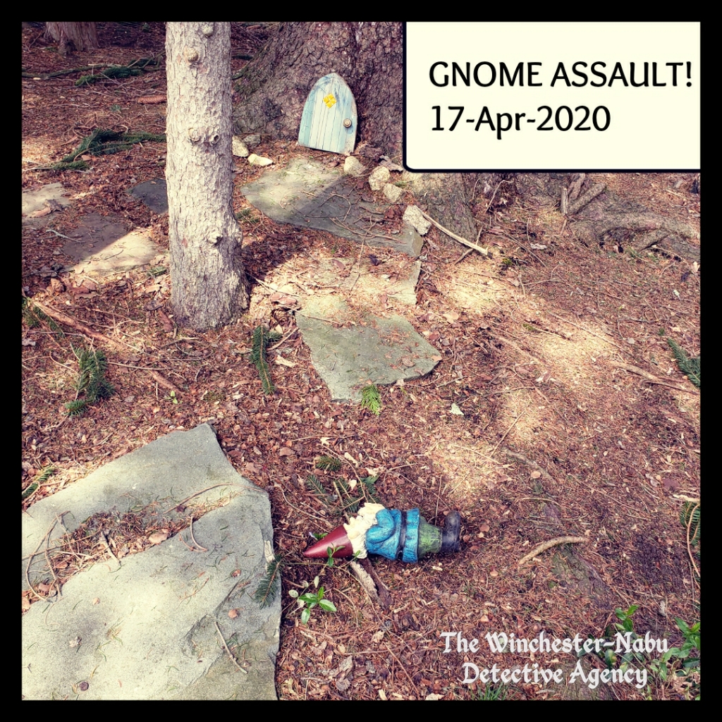 20200417_gnomeassault