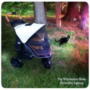 Oliver in stroller, Gus walking