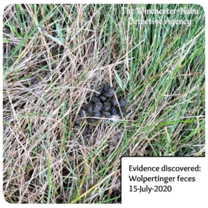 wolpertinger rabbit poo