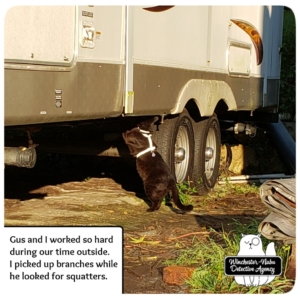 Gus inspecting trailer