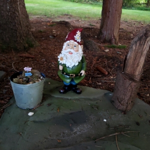 Gnome Chomsky and fairies & gnomes sign