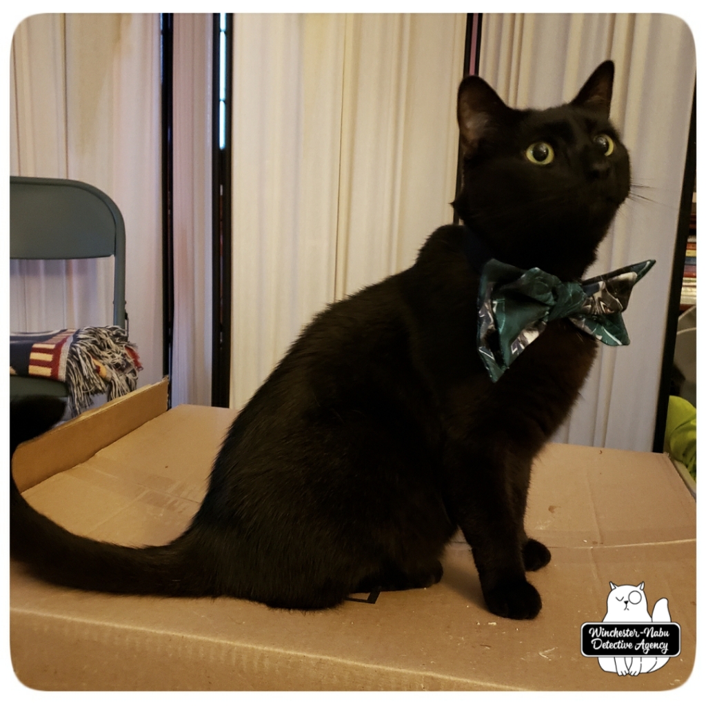 20200829 bowtie Gus2