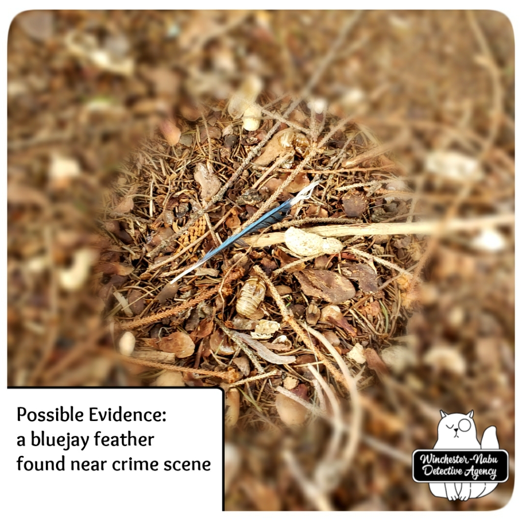 20200906 missing sign evidence
