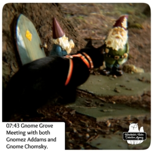 Gus and gnomes