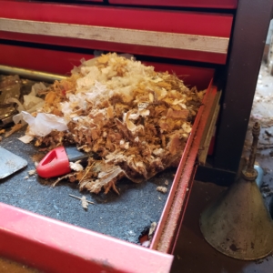 garage tool box mouse nest