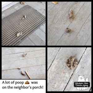 poo collage