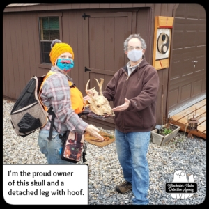 amber and stan with skull