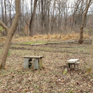 make shift benches in the woods