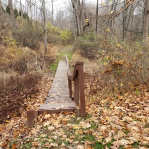 wooden bridge over trail