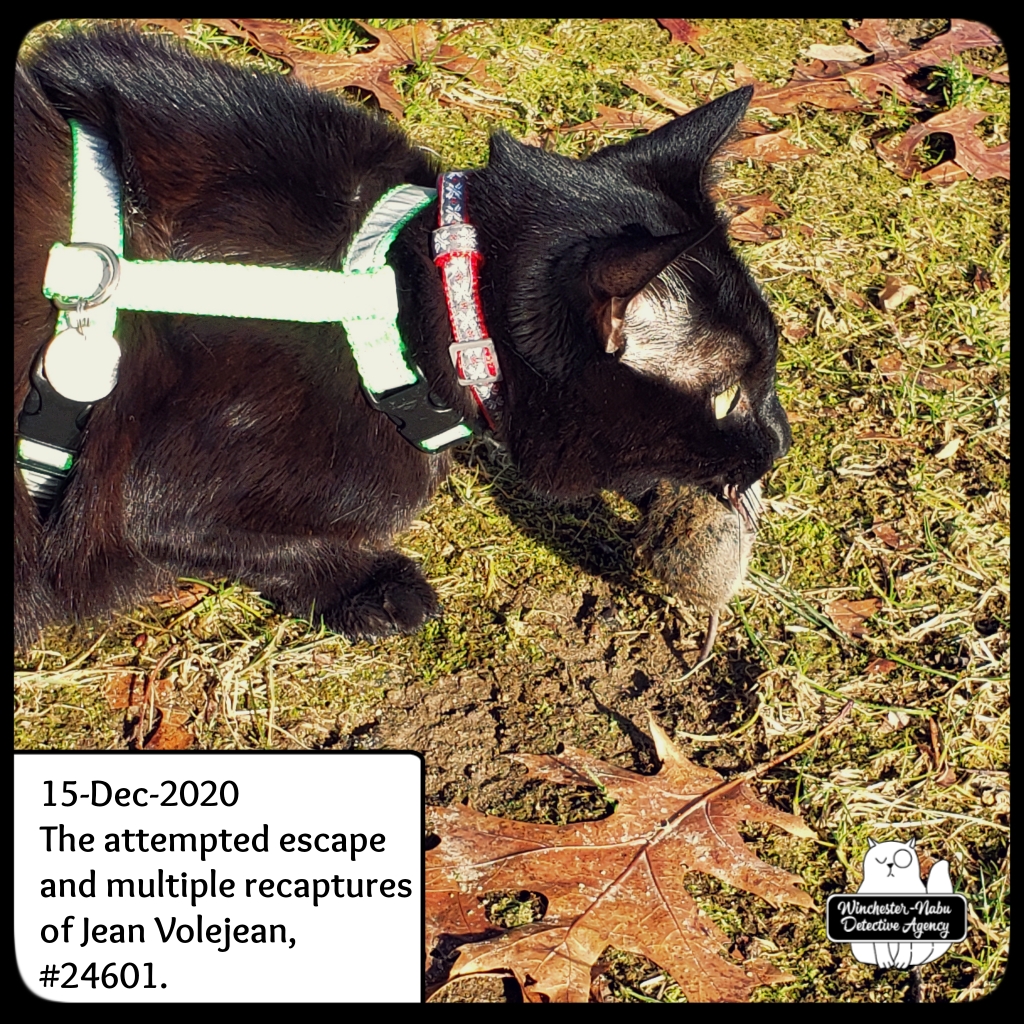 20201215_JeanVoleJean_murder (1)