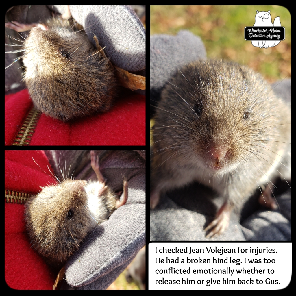 20201215_JeanVoleJean_murder (5)