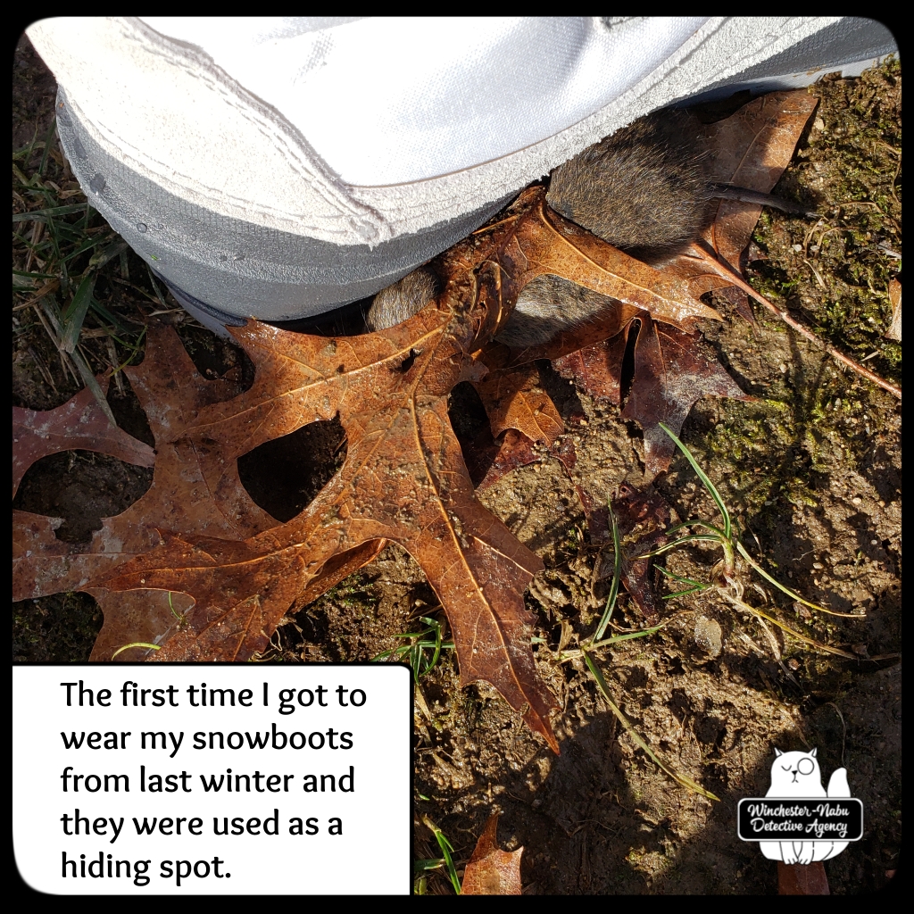 20201215_JeanVoleJean_murder (6)