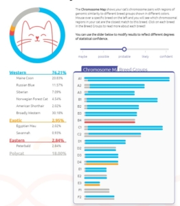 Gus DNA Probable