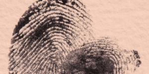 fingerprints