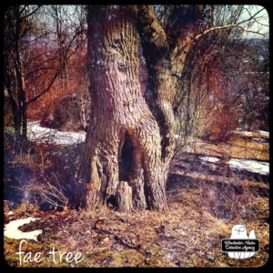 the fairy tree