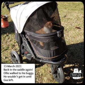 Oliver in his carriage