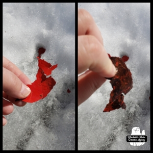 red paint chips