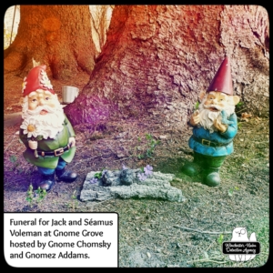 gnomes