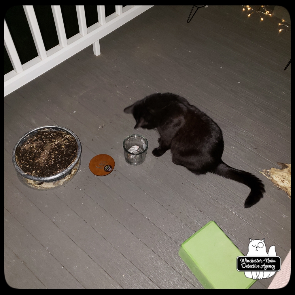 202010605 Mouse 5 wm