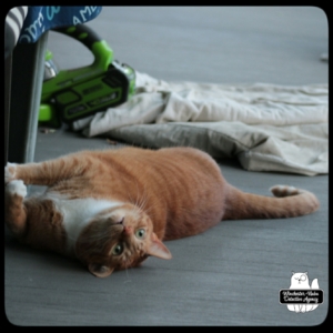 Oliver upside-down on balcony