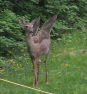 Jersey devil-deer