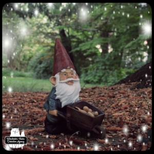 gnome with wheelbarrow